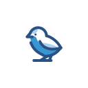 pájaro icon