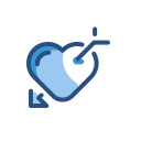 seta icon