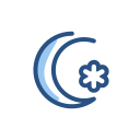 luna icon