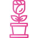 rosa icon