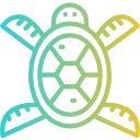 tortuga icon