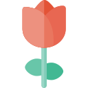 rosa icon