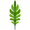 wald 