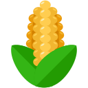 Food icon