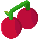 fruta icon