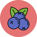 fruta icon