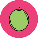 fruta icon