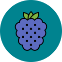 fruta icon