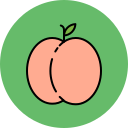 fruta icon