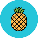 fruta icon