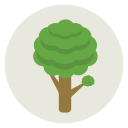 naturaleza icon