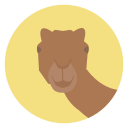 animal icon