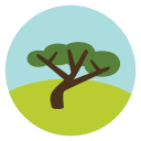 naturaleza icon