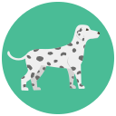 perro icon