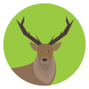 animal icon