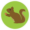 animal icon