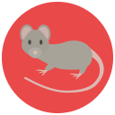 ratón icon