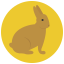 animal icon