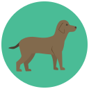 perro icon