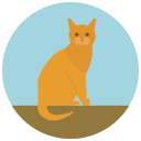 animal icon