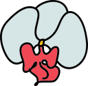 자연 icon