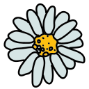 naturaleza icon