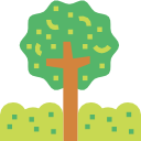 Árbol icon