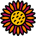 girasol icon