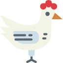 pollo