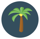 viajar icon