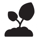 naturaleza icon