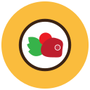 lados icon