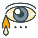 ojo icon