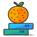 fruta icon