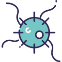 bacterias icon