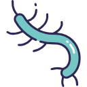 bacterias icon