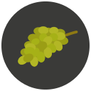 fruta icon