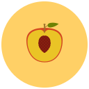 frutas icon