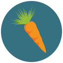 frutas icon