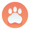 animal icon