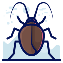 Insect 