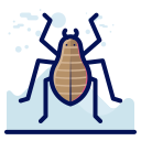inseto icon