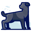 perro icon