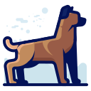 perro icon