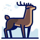 animal icon