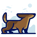 perro icon