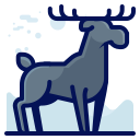 animal icon