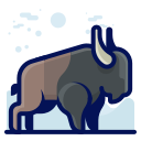 animal icon