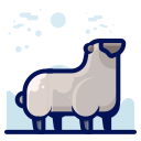 animal icon