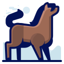 animal icon